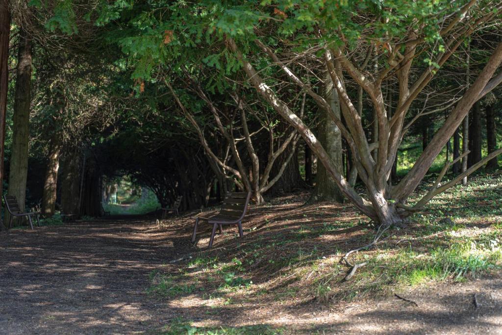 Příroda nedaleko hotelu