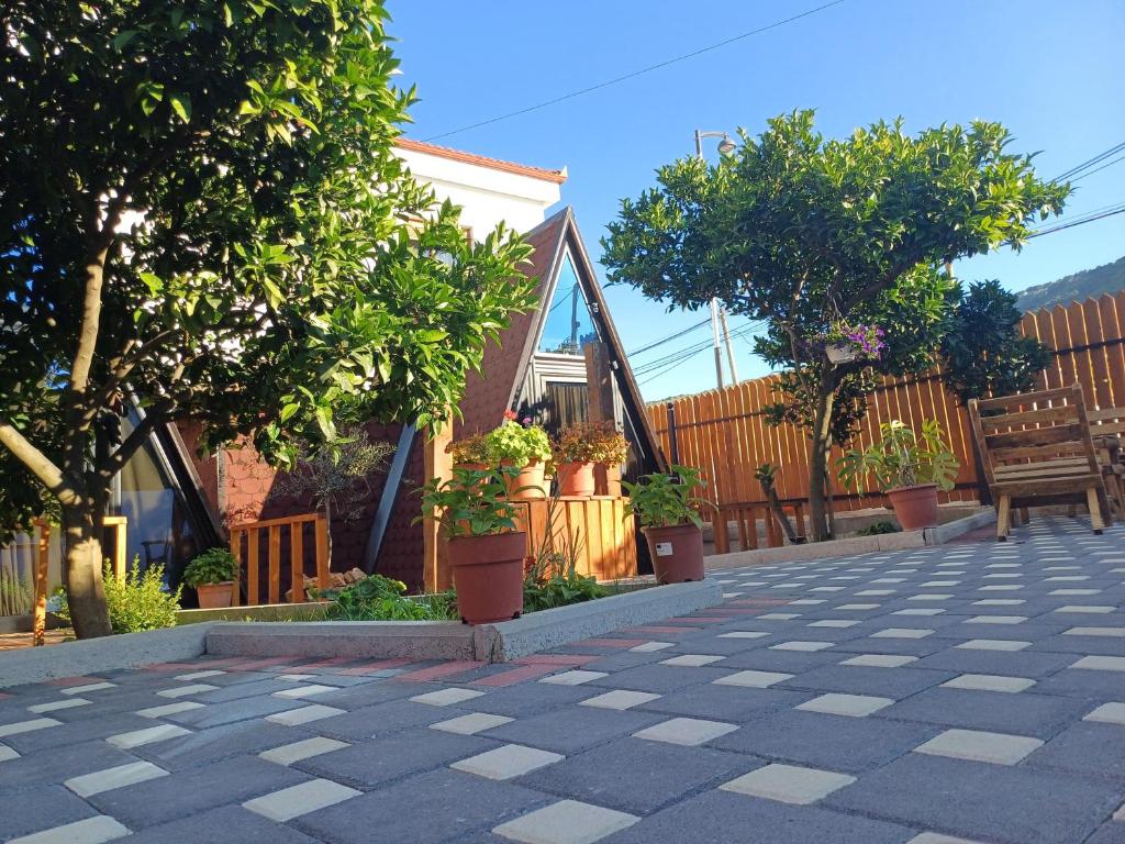 a patio with trees and potted plants on a house at Guest House Adilaj in Berat