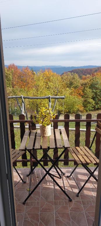 RačaにあるApartmani Rajićの木製ベンチ(鉢植えの植物付)