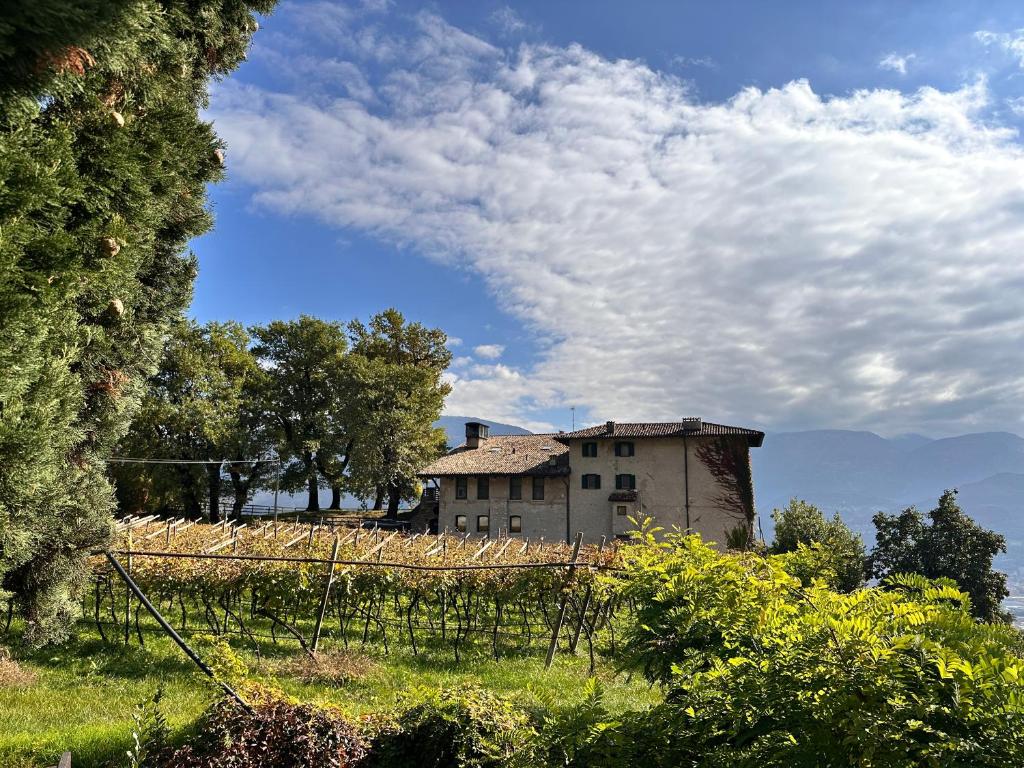 an old house on a hill with a vineyard and a building at Maso Sasso - La Locanda di Putipù in Villa Lagarina