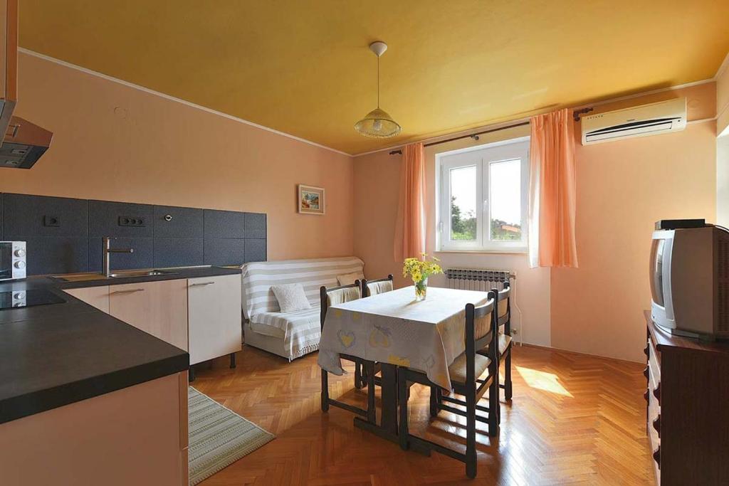 Cozy apartment Danica with terrace