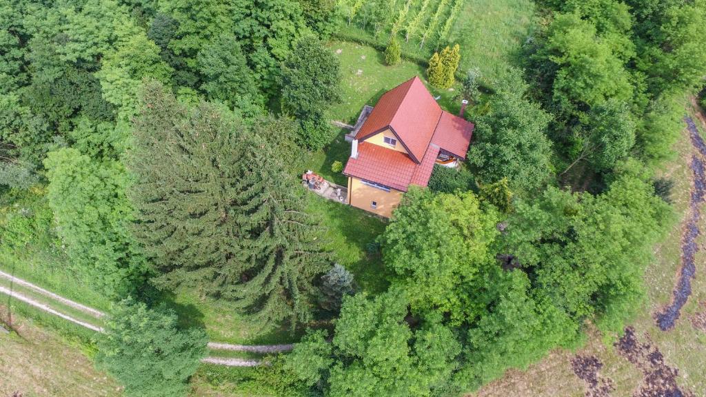 una vista aérea de una casa en el bosque en Villa Lorena, en Krapinske Toplice
