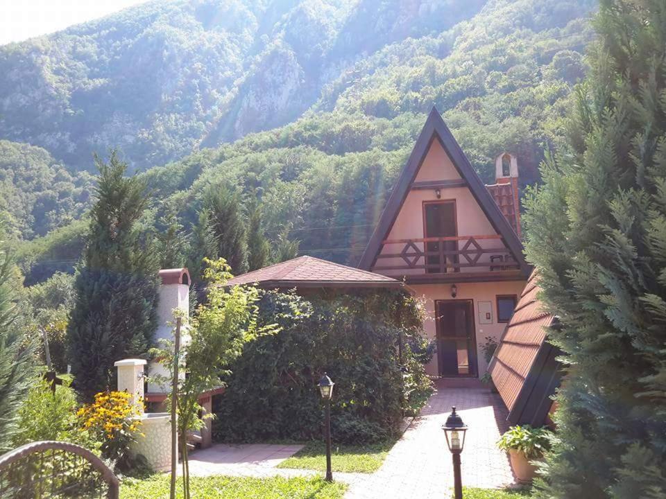 une grande maison avec une montagne en arrière-plan dans l'établissement Viola i Detelina Apartments, à Perućac