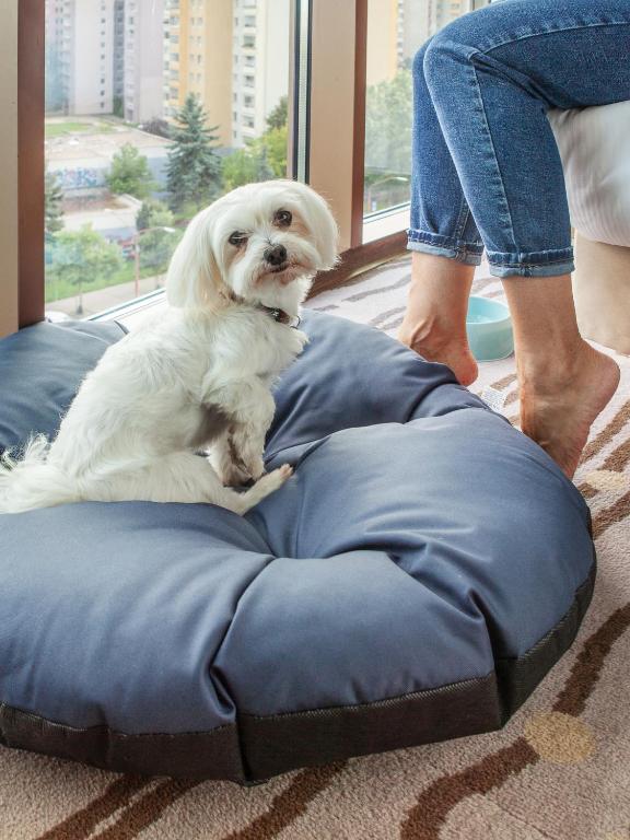 DoubleTree by Hilton Bratislava - Resim 13