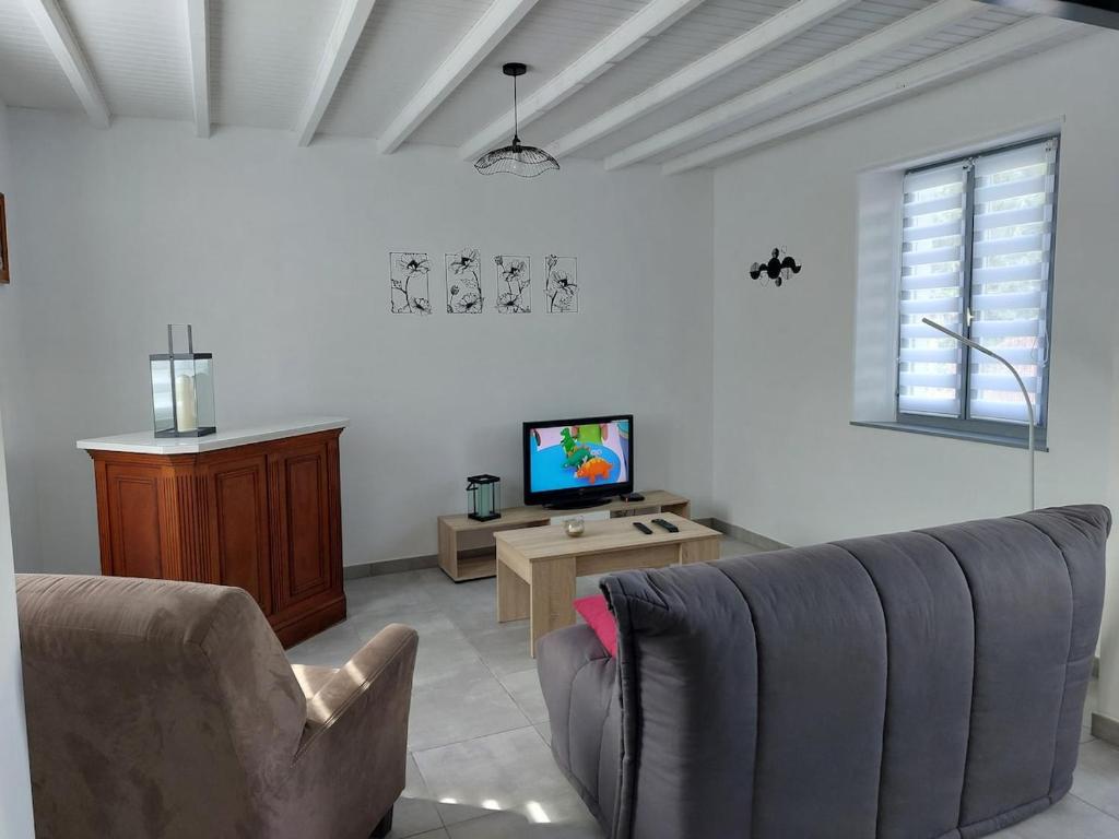 Forest-MontiersにあるLes jonquillesのソファとテレビのあるリビングルーム