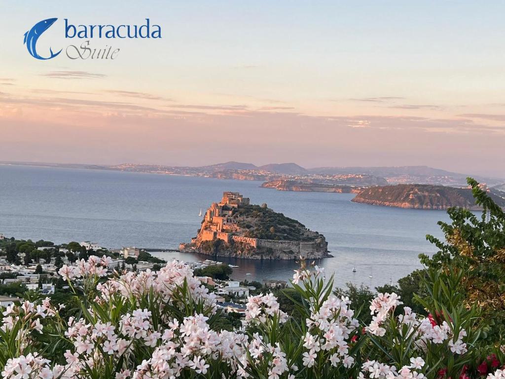 - une vue sur la côte amalfi avec des fleurs roses dans l'établissement barracudasuite, à Ischia