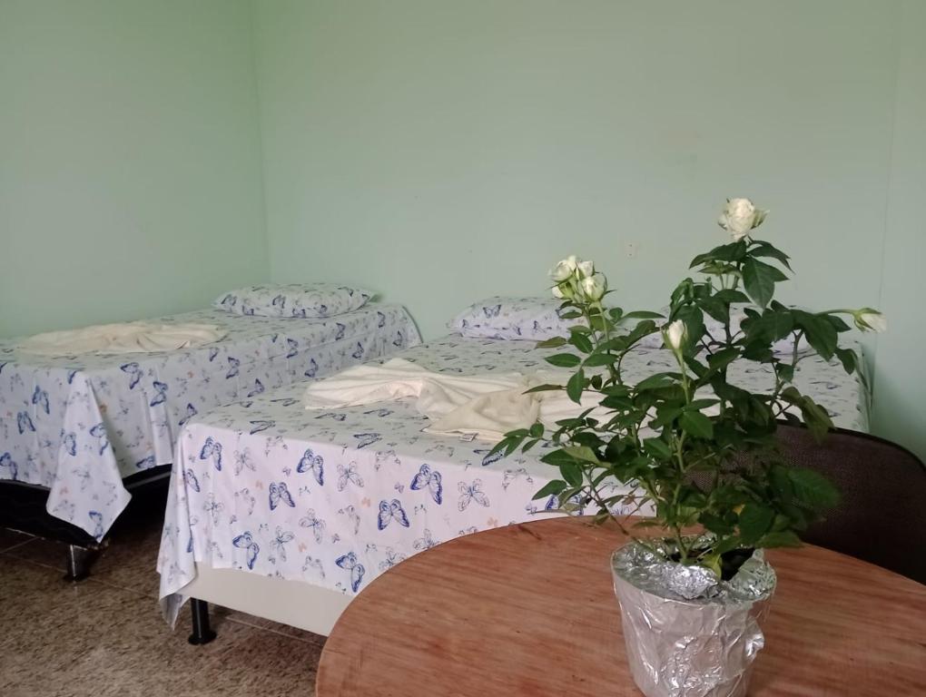 Pousada Nosso Cantinho في غواراباري: غرفة بسريرين وطاولة بها نبات