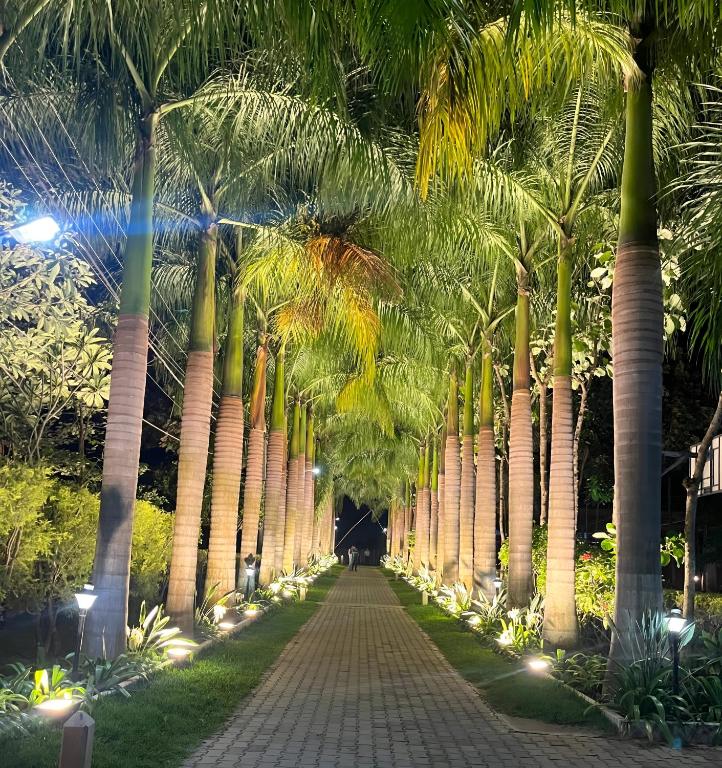 a pathway lined with palm trees at night at Sharmada Hidden Nest Resort in Jāmb