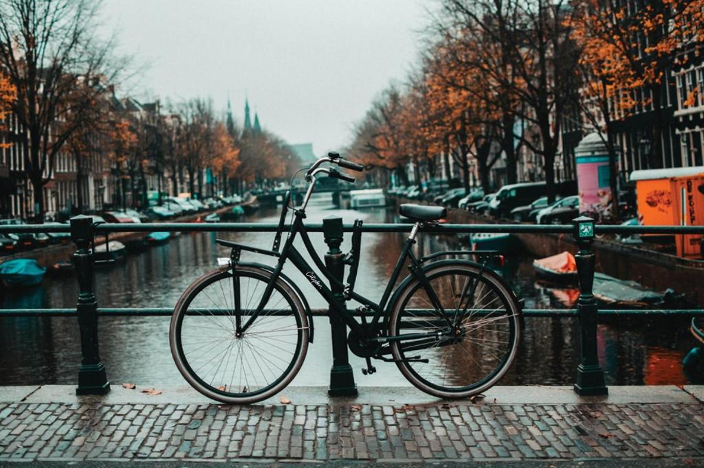 Cityden BoLo District - Resim 41