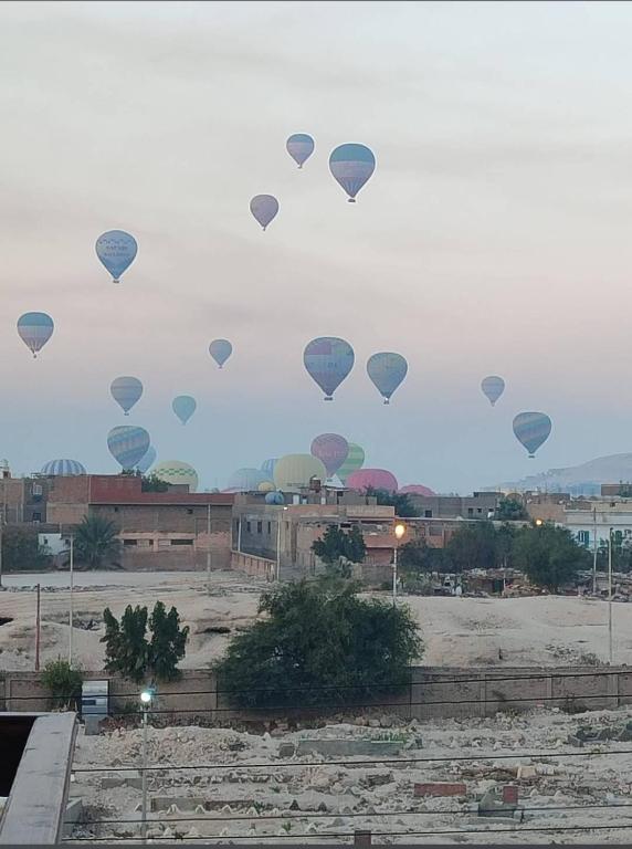 a bunch of hot air balloons flying in the sky at Carter Guesthouse Luxor 3 in Al Karnak