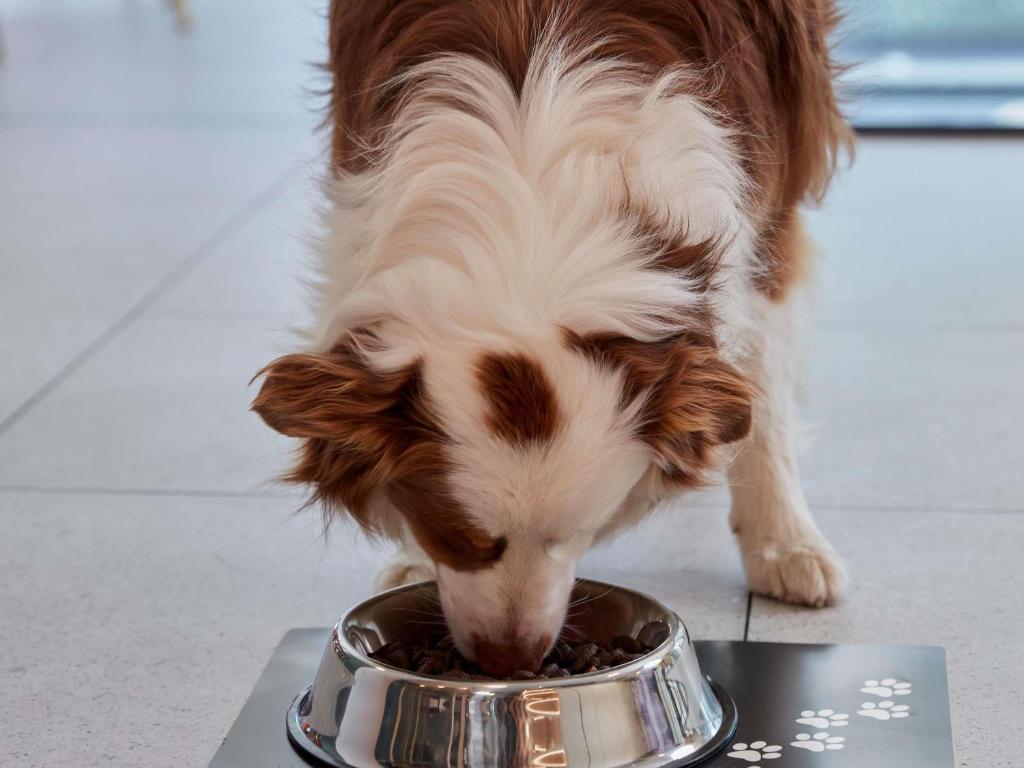 Adagio access Brussels Delta - Resim 28