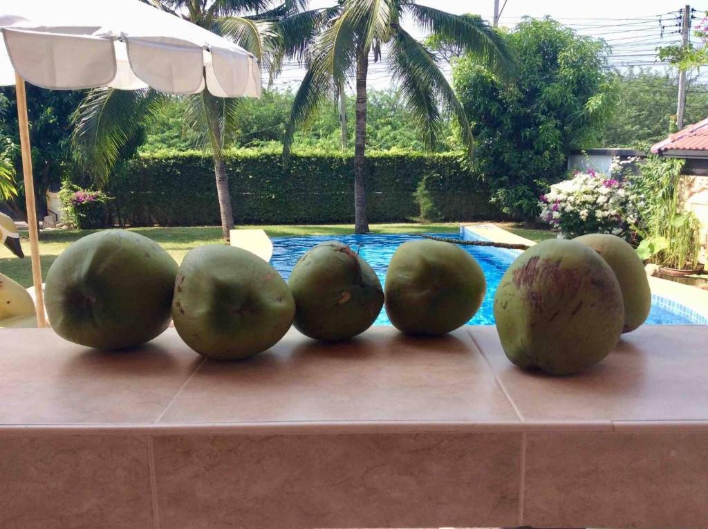 Fotografie z fotogalerie ubytování Chilled out 420 tropical villa v destinaci Hua Hin