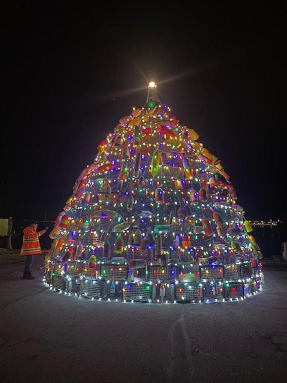 a large christmas tree is lit up at night at Route3BnB in Shag Harbour