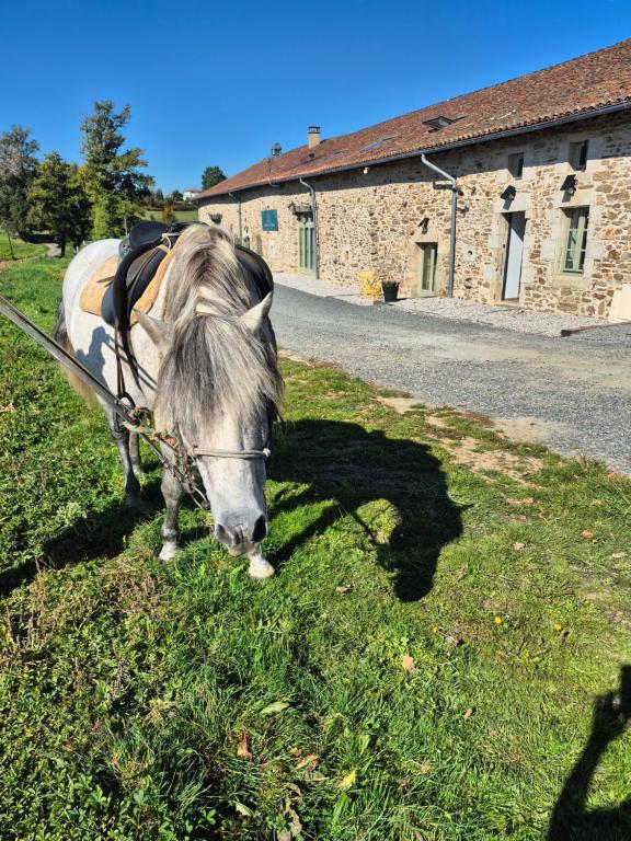 Domaine de la Tardoire - Deluxe Tweepersoonskamer Met Bad
