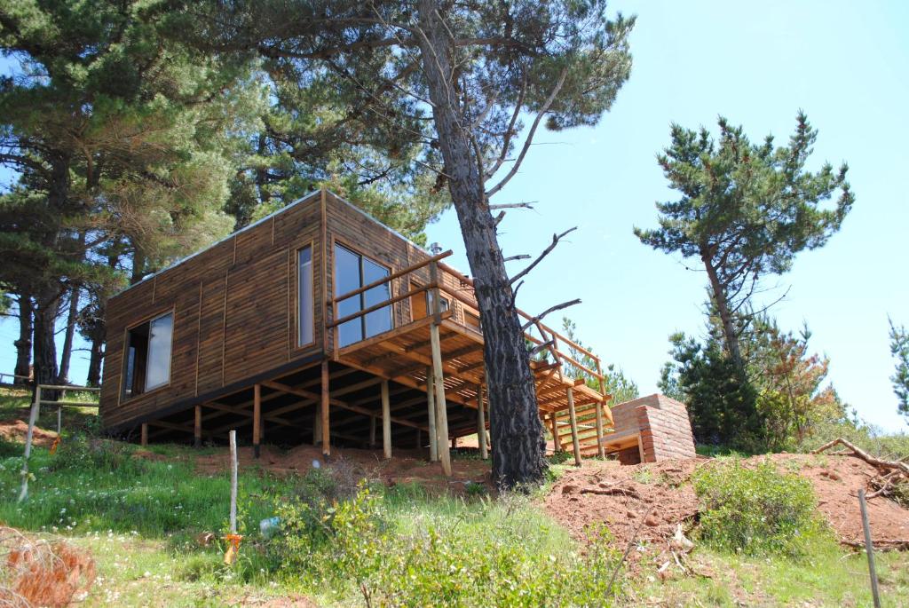 Cabañas & SPA Carilafquen - Studio With Terrace