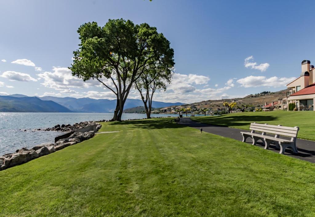 ein Park mit zwei Bänken und einem Baum neben dem Wasser in der Unterkunft Lake Chelan Shores - Serenity by the Lake #15-9 in Lakeside