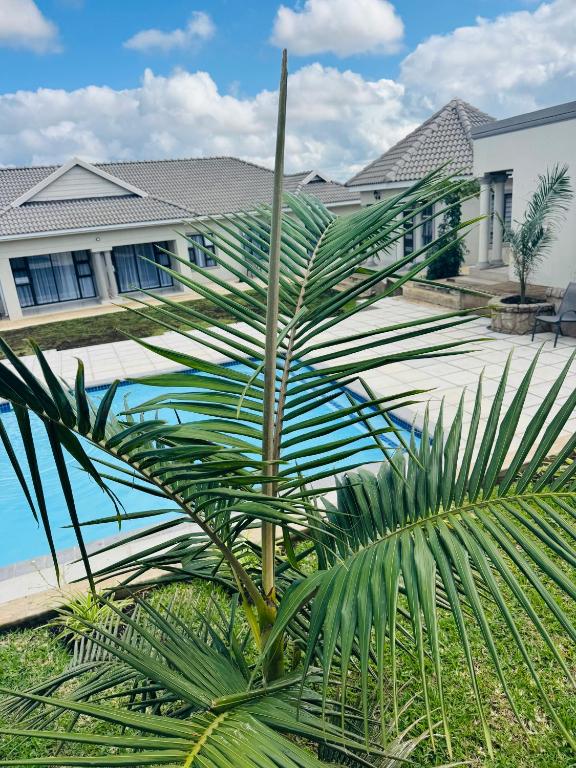 a palm tree in front of a house at WeMvula Guesthouse in Mtubatuba