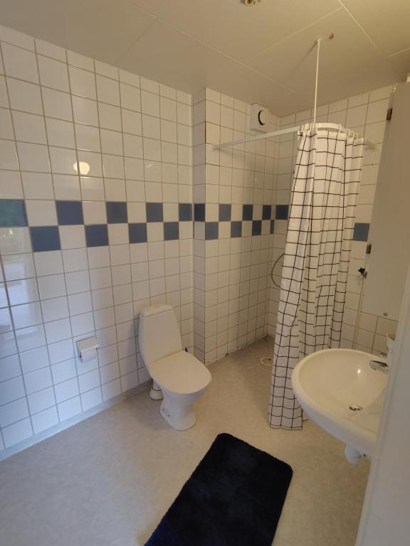 a bathroom with a toilet and a sink at Livning Horndal in Horndal