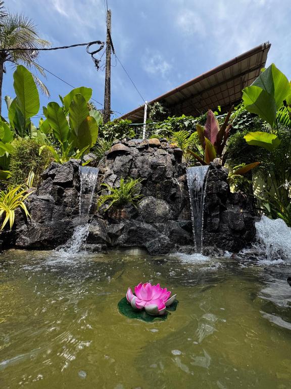a pink flower in the water next to a waterfall at Scarlet's Cottage & Tea Garden in Cochin