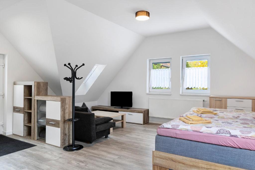 TV a/nebo společenská místnost v ubytování Vorder Rhön Haus 21a