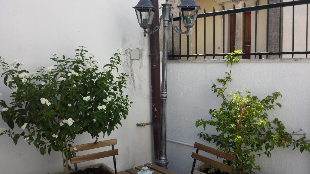 Montesano SalentinoにあるCasa Adelの二つのベンチと花の隣の通り灯