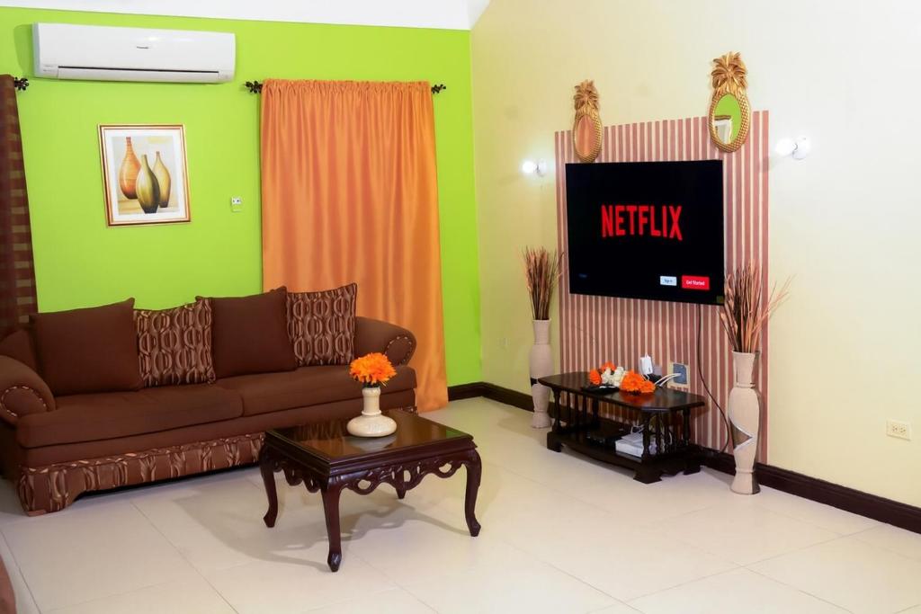 Una sala de estar con un sofá y un televisor. en Luxury Tropical Escape Pool & Gym Sleeps 7, en Richmond