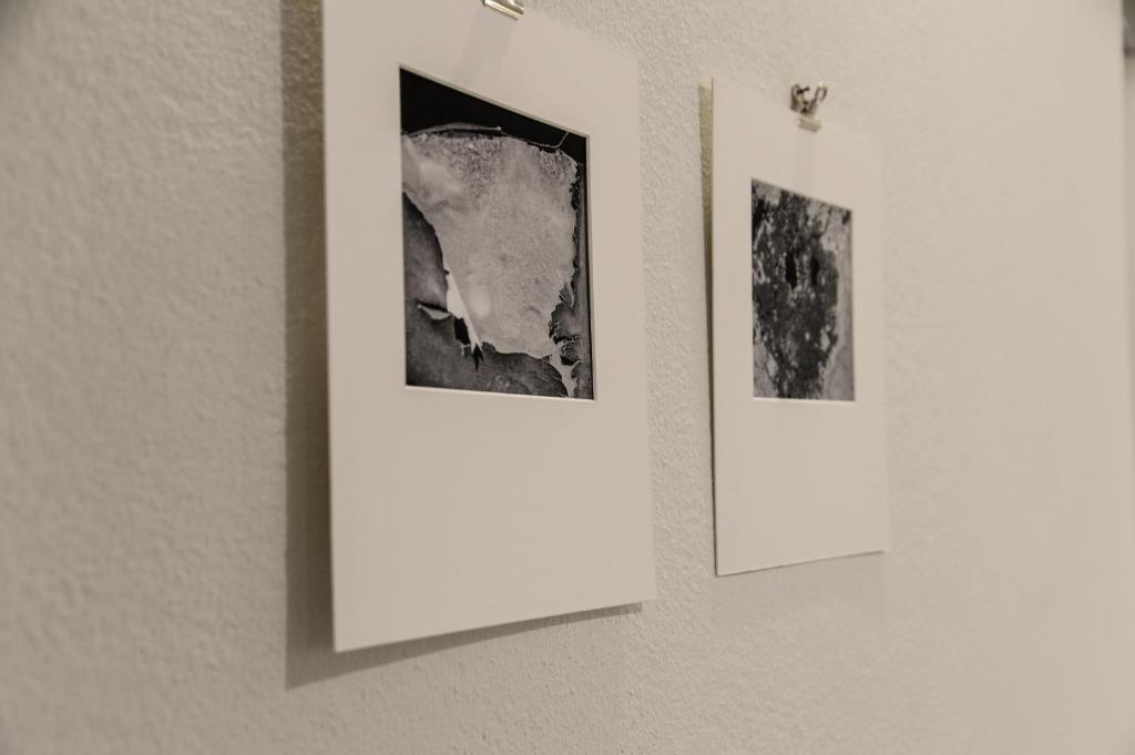 Fotografie z fotogalerie ubytování Piano Tre v destinaci Verona