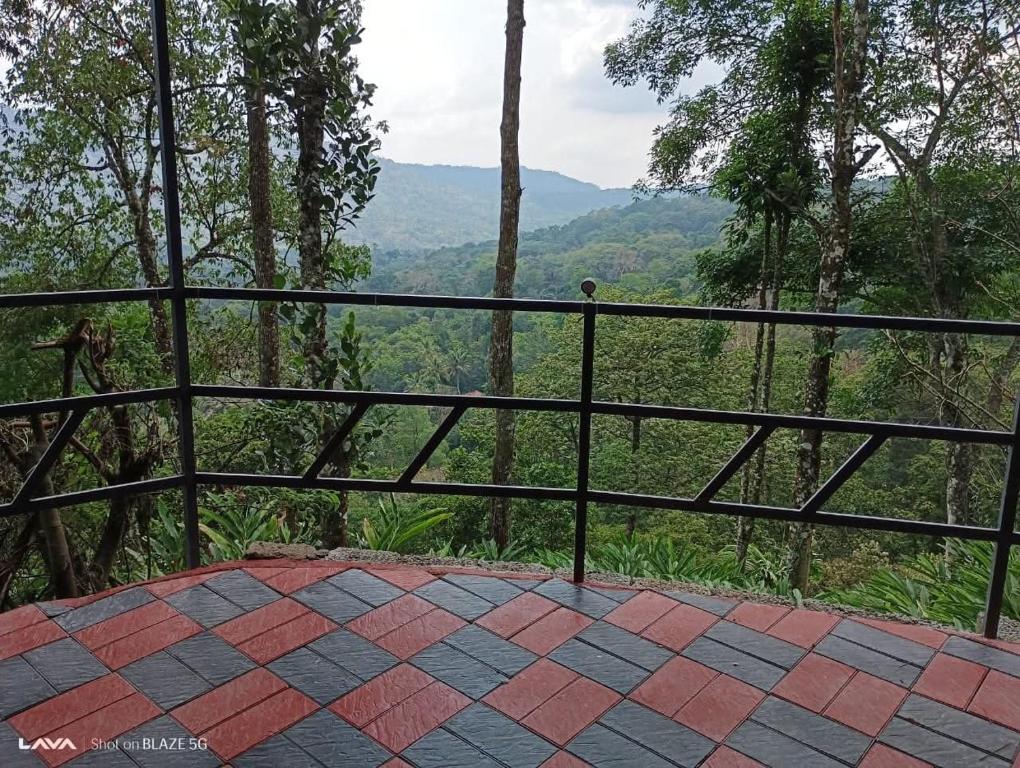 Příroda nedaleko prázdninového domu