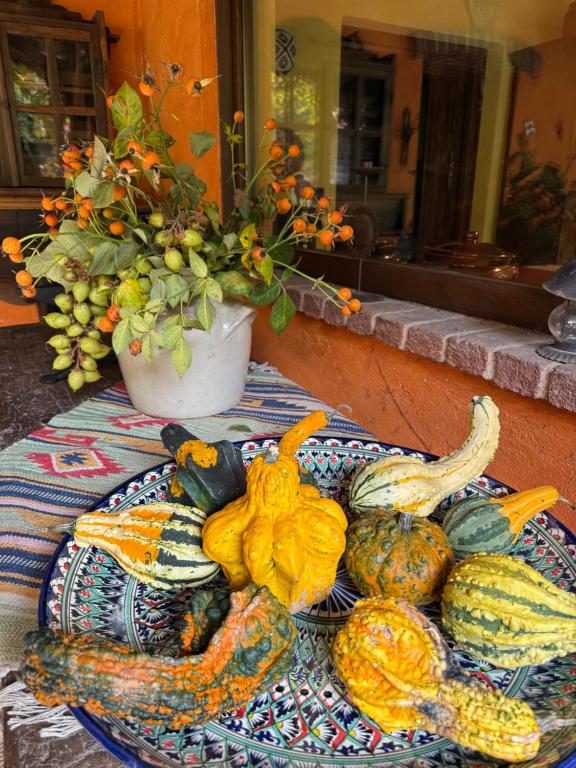 a table topped with a pile of pumpkins and vegetables at La casa Arancione in Boves