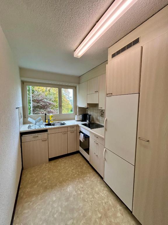 3 Bedroom Apartment with Balcony, 26 min to Zurich Center - Resim 10