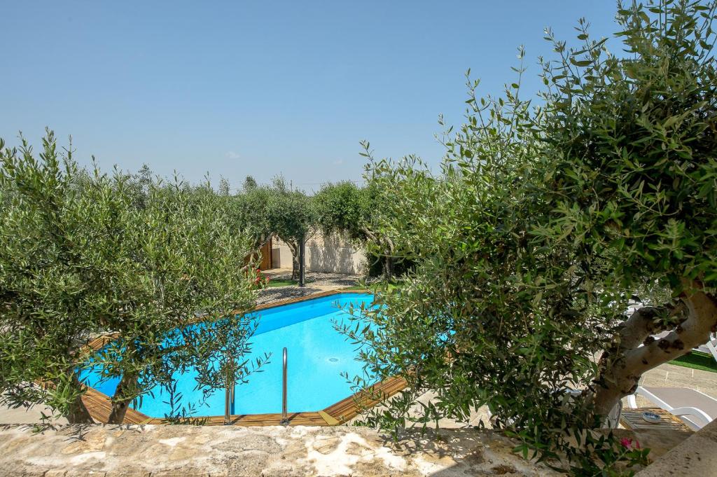 - une piscine dans une villa avec des oliviers dans l'établissement Tenuta con due abitazioni indipendenti, à Martina Franca