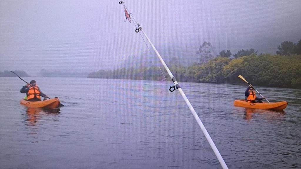 Cabañas Rio Tolten, con tinaja, sendero, actividades