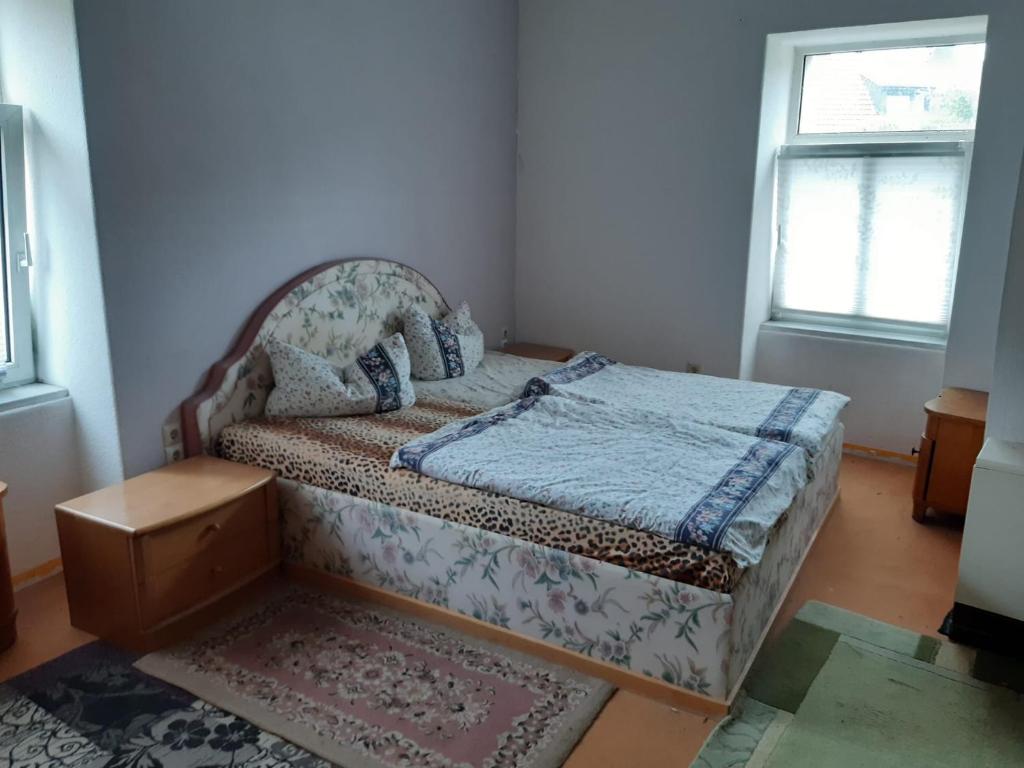 a bedroom with a bed in a room with a window at Ferienwohnung Petersbrunnen in Zaschwitz