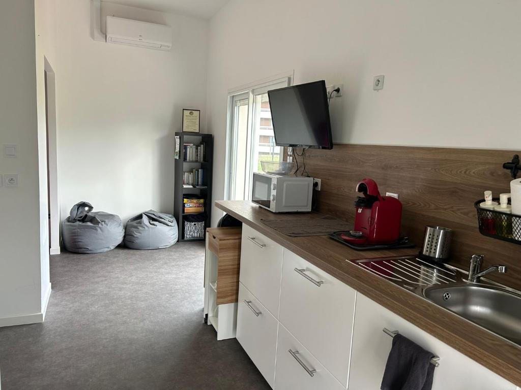 Una cocina con encimera con fregadero y microondas. en Studio Confort à Lapalisse, en Lapalisse