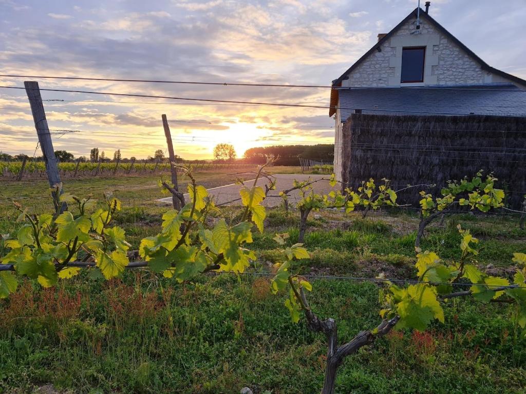 Východ nebo západ slunce při pohledu z prázdninového domu nebo okolí