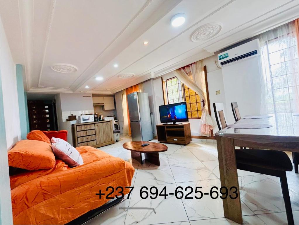 Η κουζίνα ή μικρή κουζίνα στο Studio palais de congrès Eulalie 1