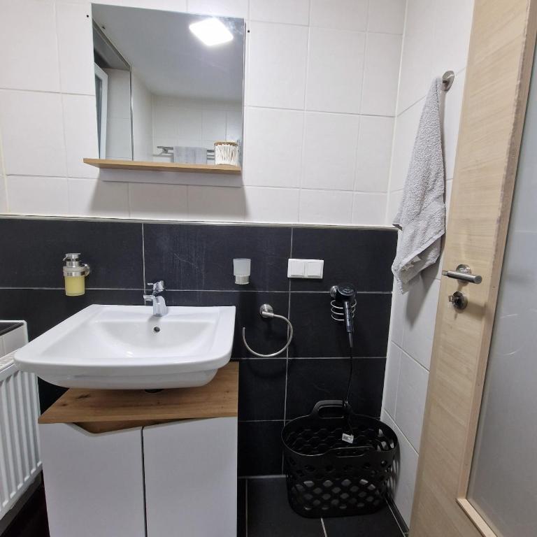 een badkamer met wastafel en toilet bij Ferienwohnung Lüchtringen in Höxter