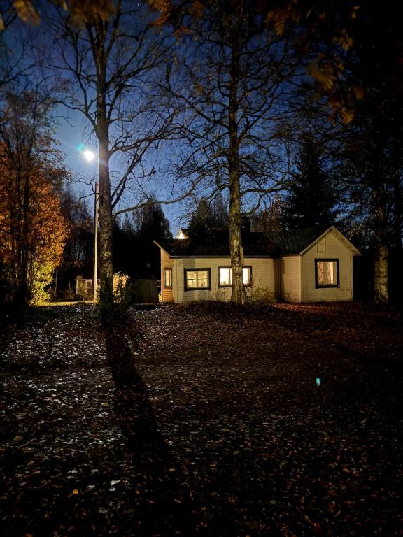 a house at night with a tree and a full moon at Mummon mökki in Mäntylahti