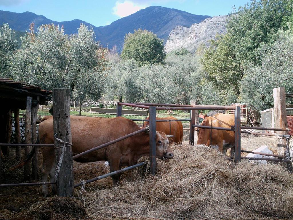Derechos de imagen reservados por Booking.com