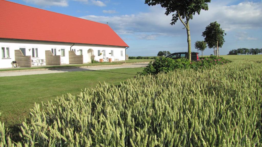 Zahrada ubytování Skönadal B&B