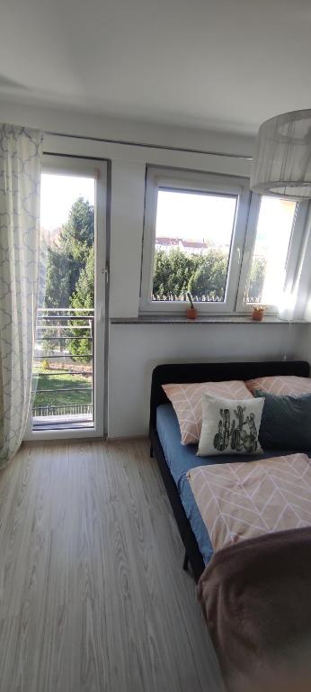 a bedroom with a bed and two windows in it at Apartament Ziemia Kłodzka in Kłodzko