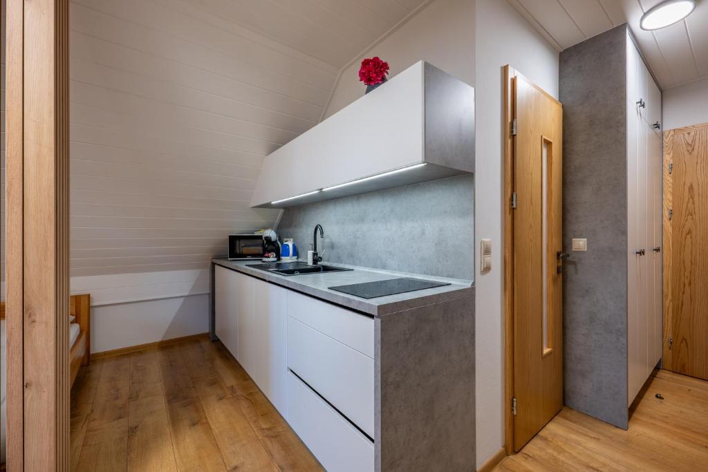 Apartmány Bobrík - Studio Avec Balcon