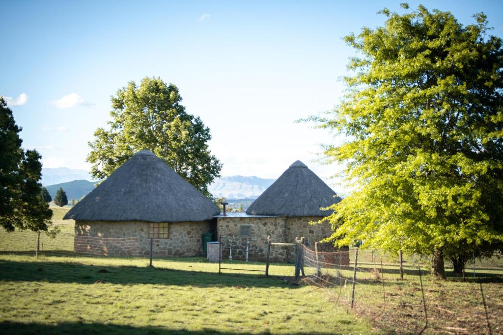 Φωτογραφία από το άλμπουμ του Blackbrook Farm Underberg σε Underberg