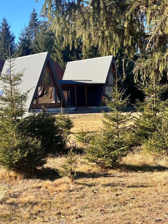 a log cabin with trees in front of it at CabanA Comandău in Comandău
