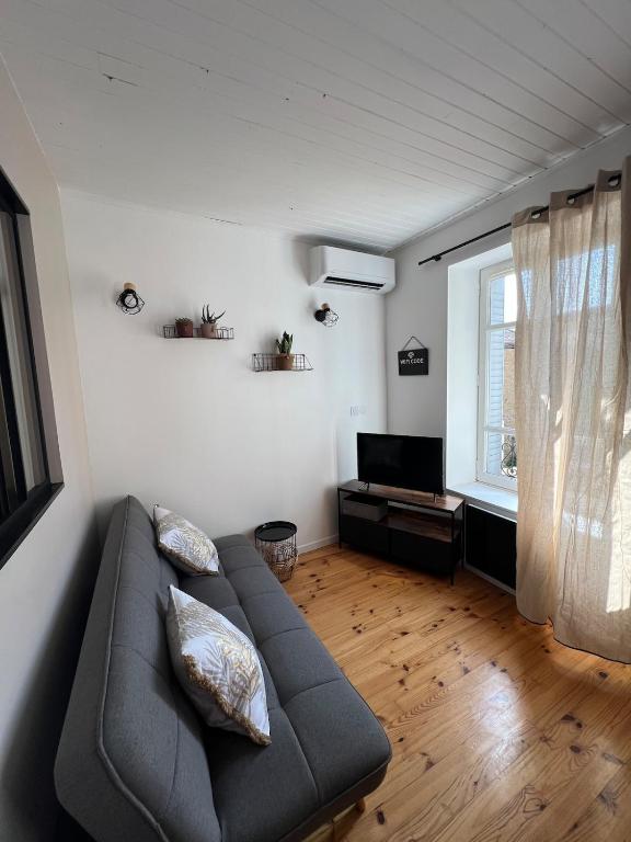 een woonkamer met een bank en een televisie bij Studio centre ville in Bourgoin