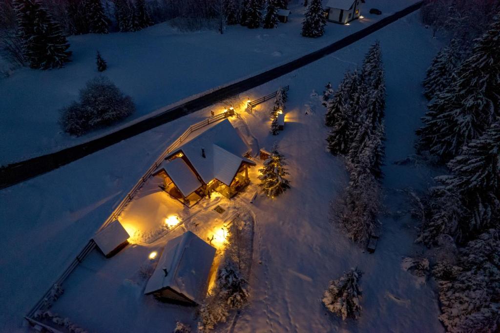 KRALJICA ŠUME - Divjake Log Home - Two-Bedroom Chalet