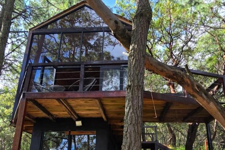 a tree house in the middle of a forest at La Cabaña 16 Mazamitla in Mazamitla
