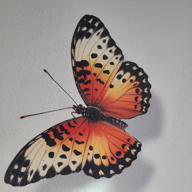 Rana's B&B - Bed&Breakfast - 12