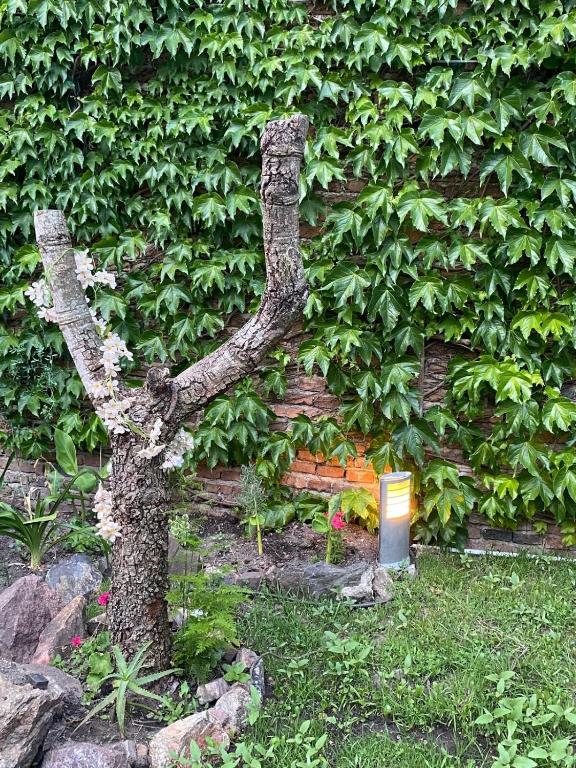 Apartamento en el jardín