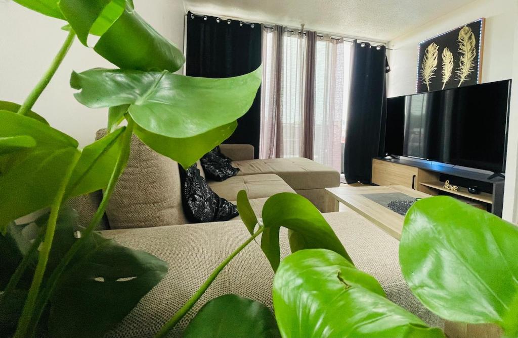 Μια τηλεόραση ή/και κέντρο ψυχαγωγίας στο Appartement Confortable